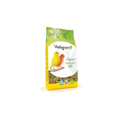 Canaries 1 Kg