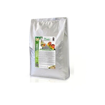 Parrocchetti 3 kg