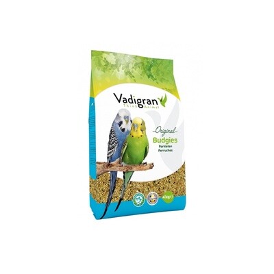 Budgies 4 Kg