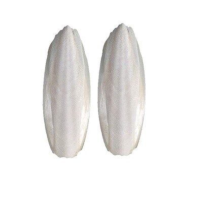 Cuttlefish Packs