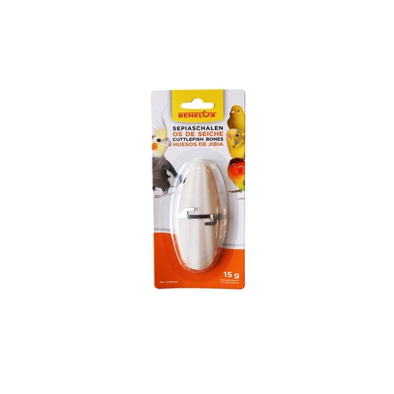 Cuttlefish Bones With Holder