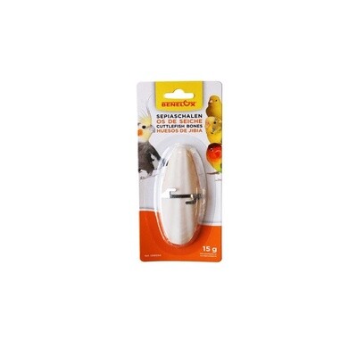 Cuttlefish Bones With Holder