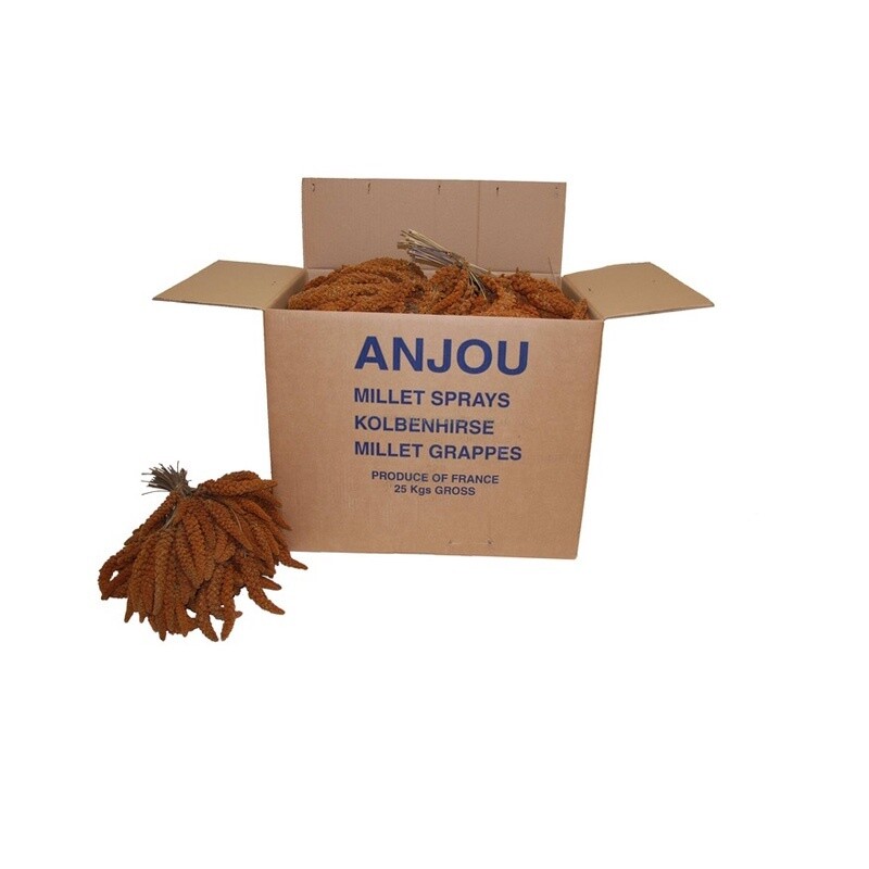 French Red Millet Sprays 25 Kg