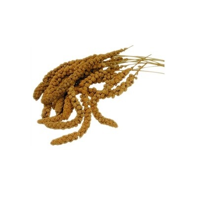 Millet Spray Yellow 5Kg