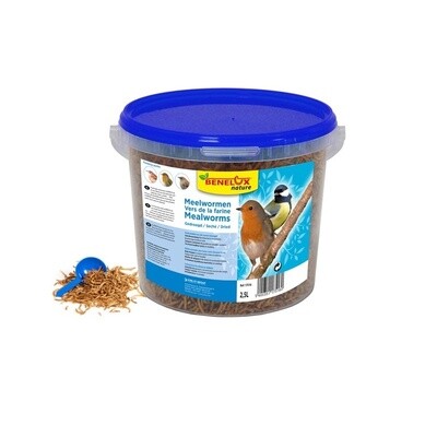 Mealworm Bucket For Wild birds 375g