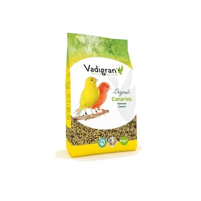 Canaries 4 Kg