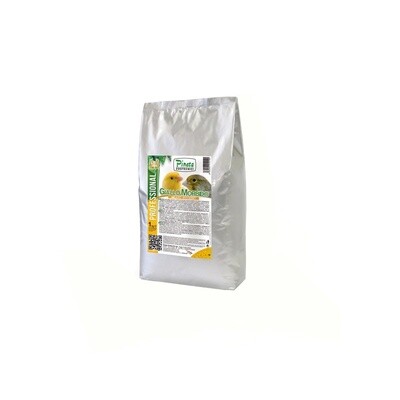 Giallo Morbido Mielato 1.kg