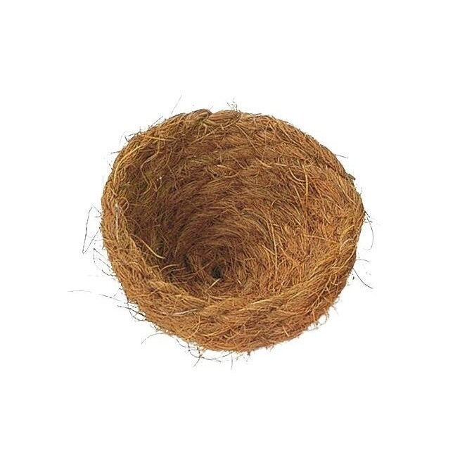 Coir Nest 10/11cm