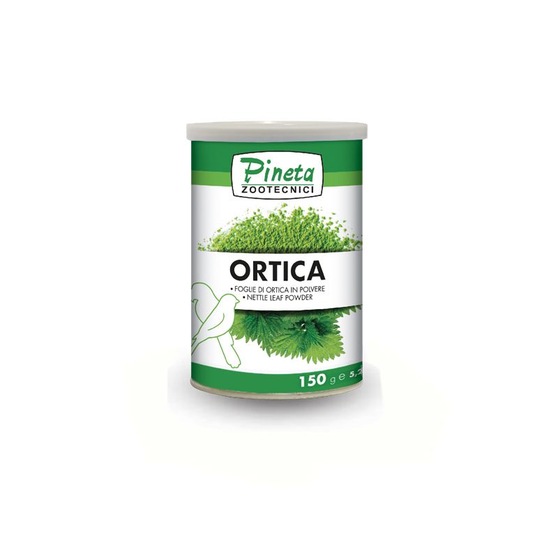Ortica Polvere