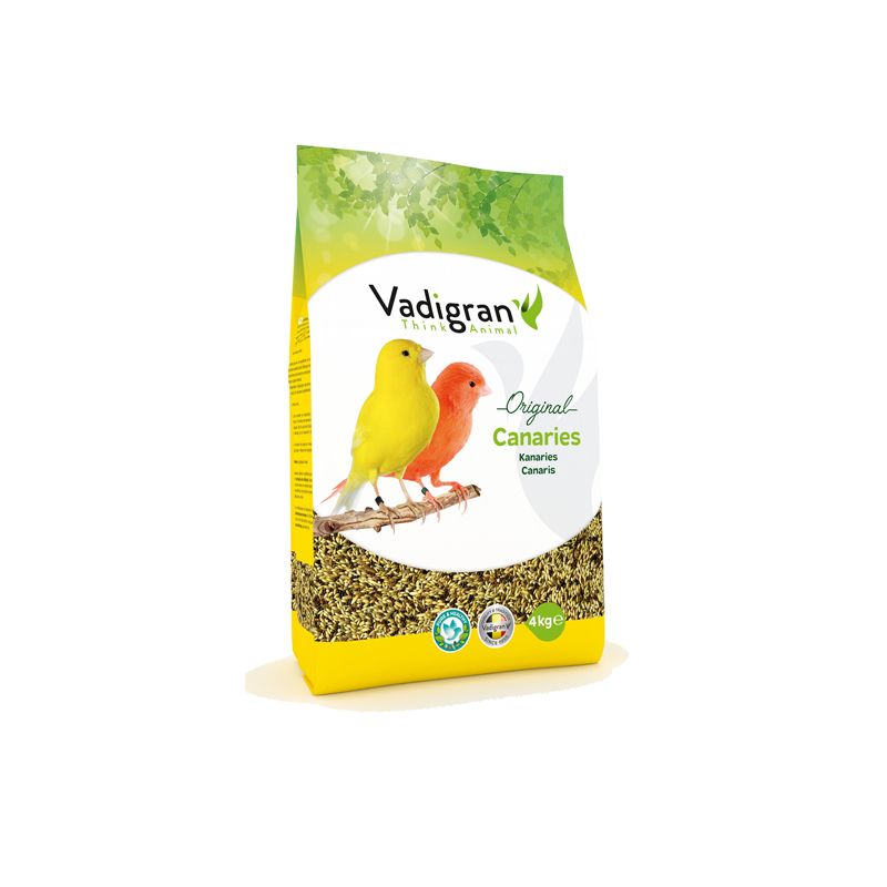 Canaries 4 Kg