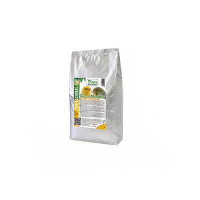 Giallo Morbido Mielato 1.kg