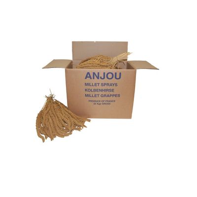 French Yellow Millet Sprays 25 Kg