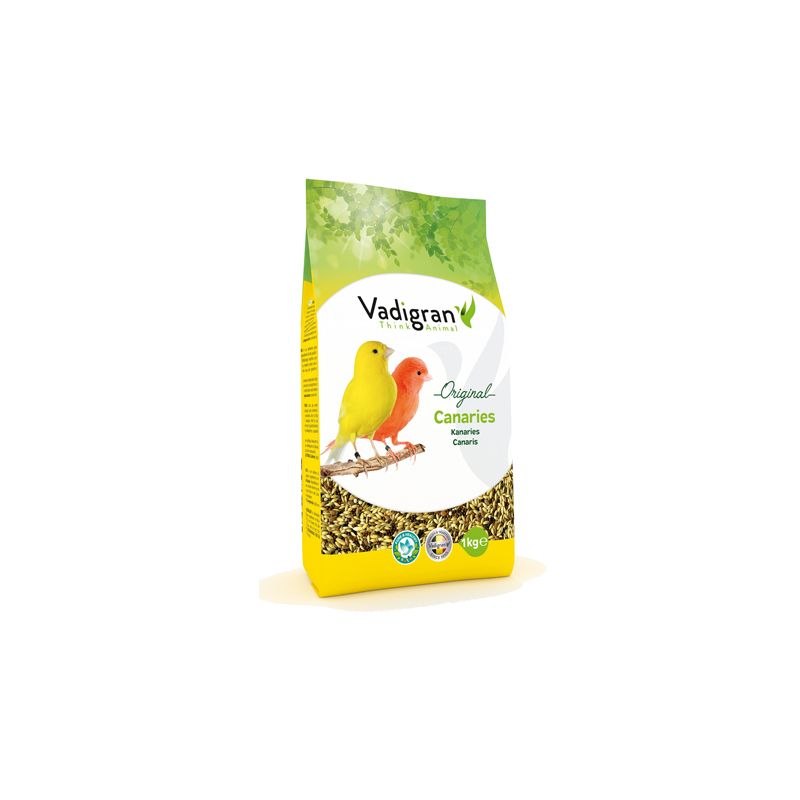 Canaries 1 Kg