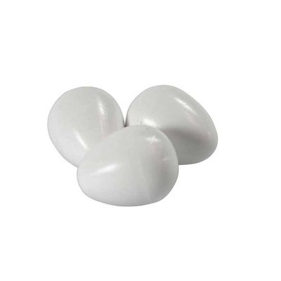 Big Plastic Eggs For Parakeets