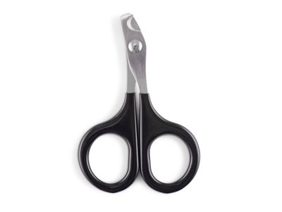 Nail Sissor