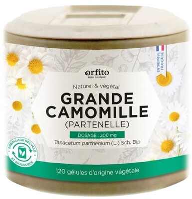 Grande Camomille ​Apaisant et relaxant.