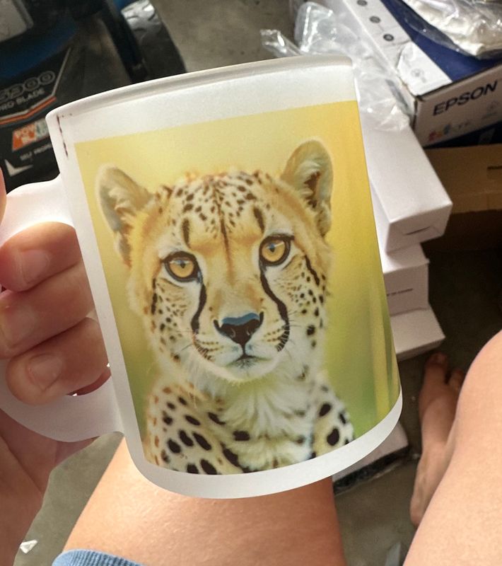Frosted glass cheater mug