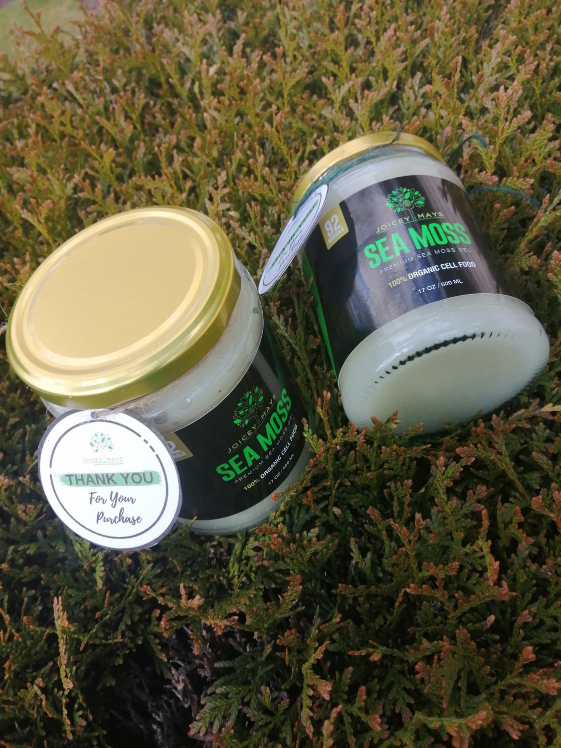 Gold Sea Moss Gel
