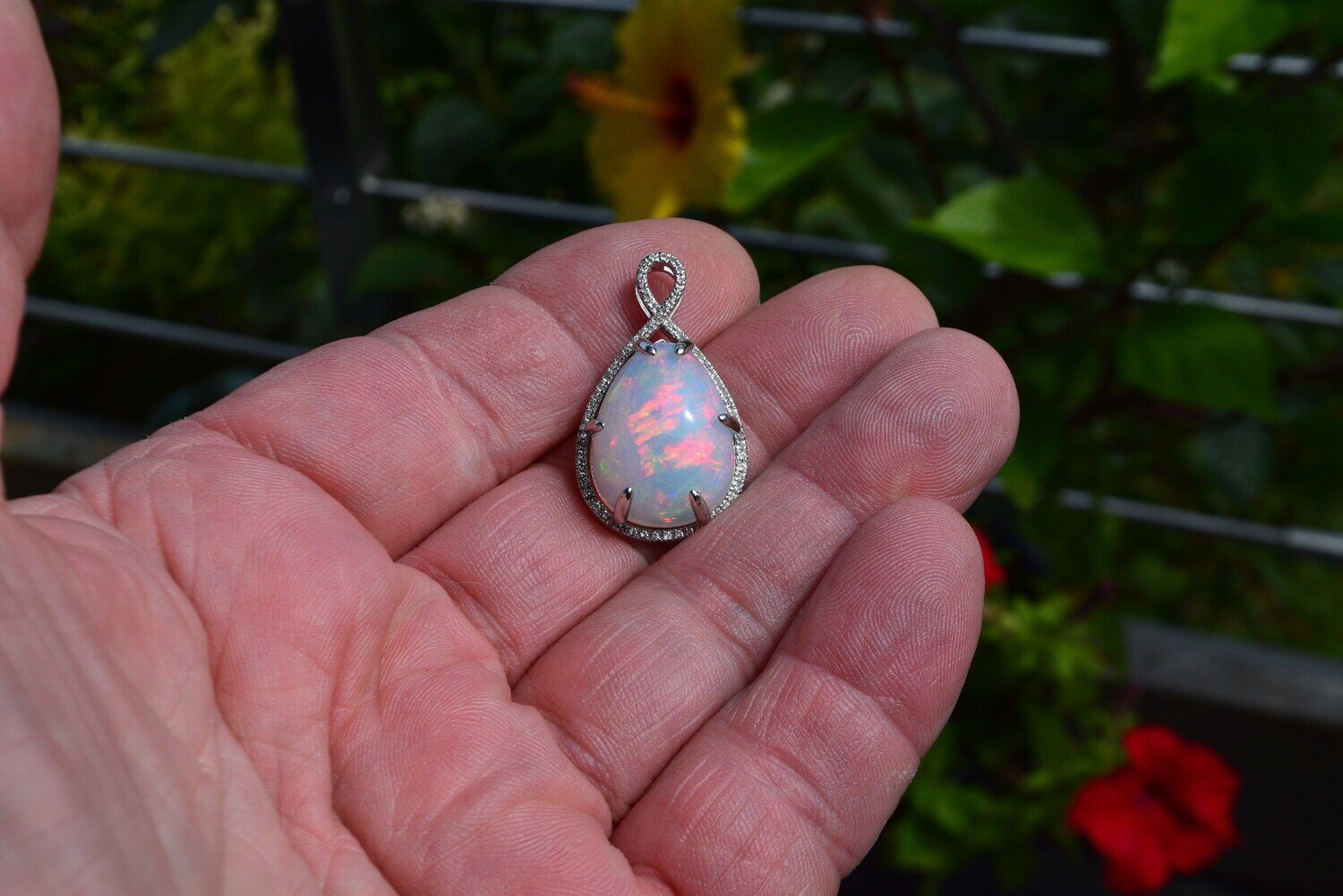 A 15cwt  Untreated Earth Mined Opal in Pendant. Independent  Master Valuer Appraisal: $3,000. See Video