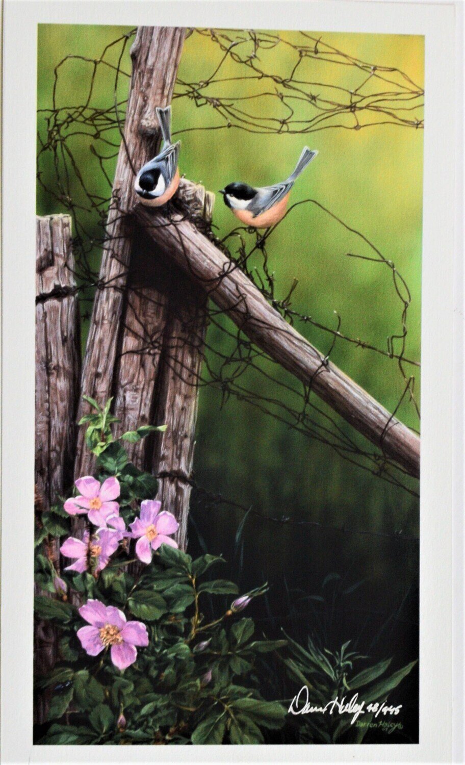 Limited Edition  of 350. Print Never Framed or Matted. &quot;Spring Chickadees&quot; by Darren Haley