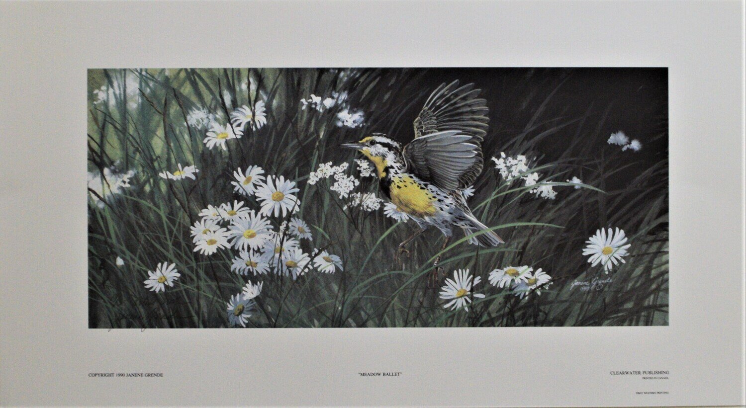 Artist Proof 19 of 35 produced. Print Never Framed or Matted. &quot;Meadow Ballet &quot; by Janene Grende.