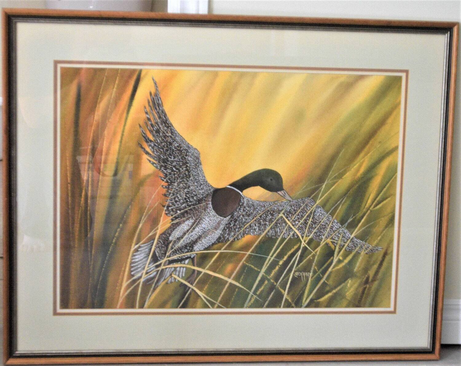 Large Original Watercolour, Frame 28&quot; x 36&quot; by Canadian Artist, Jack Lockhart. Mallard in Flight.