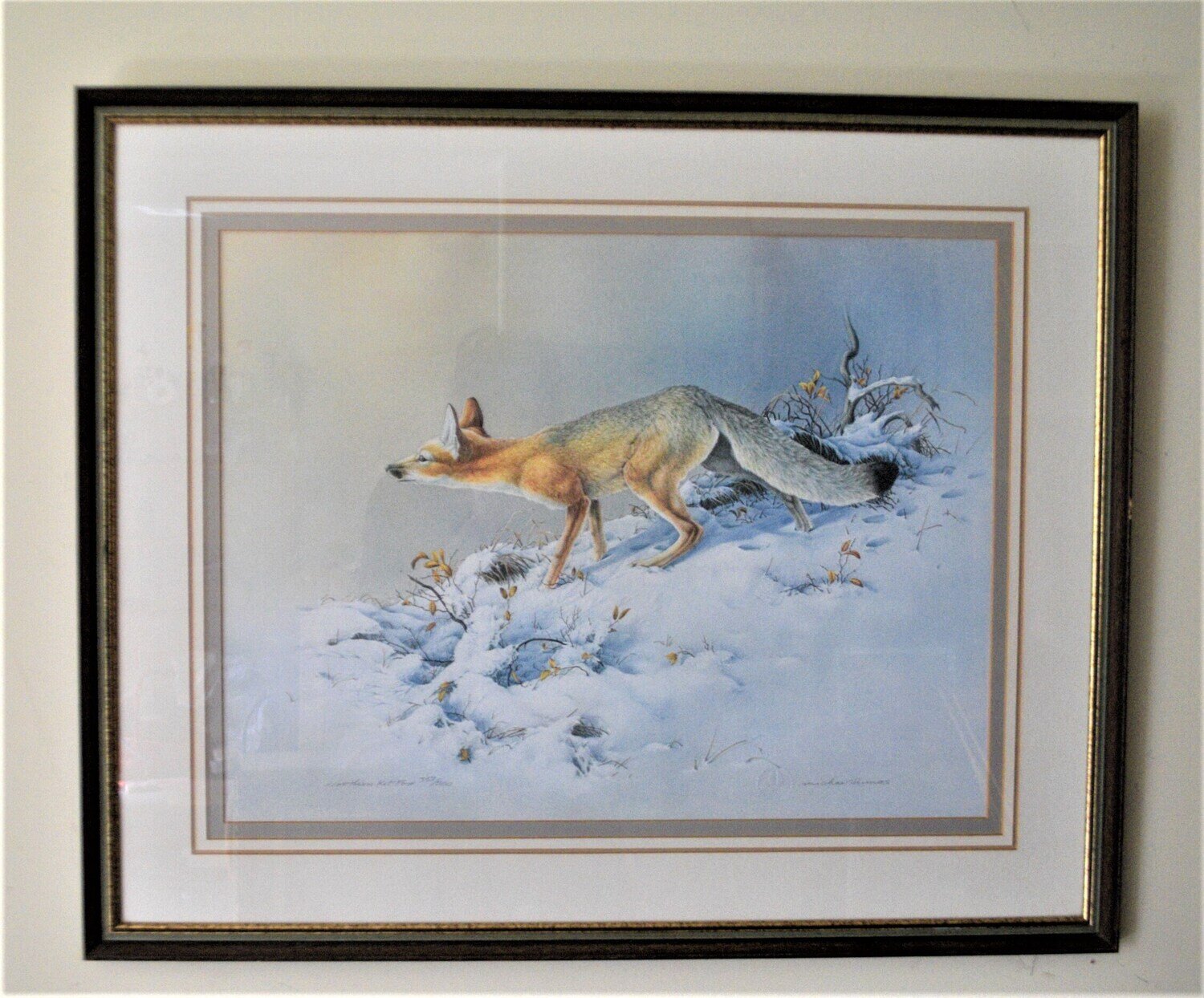 Limited Edition  by Canadian Michael Dumas. Framed 28&quot; x 34&quot; Endangered Species. 337 of 500.