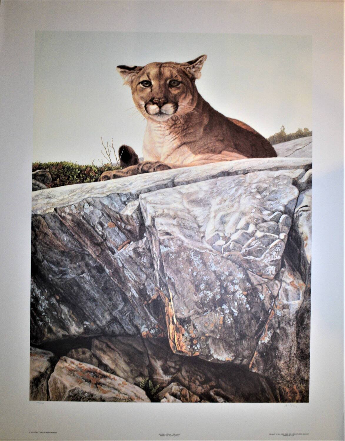 Limited Edition  of 550 Print Never Framed or Matted. &quot;Skylined&quot; by Audrey Casey