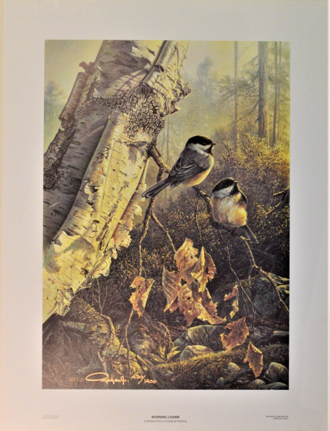 Limited Edition  of 1,400. Print Never Framed or Matted. &quot;Morning Charm&quot; by Denis Mayer Jr.