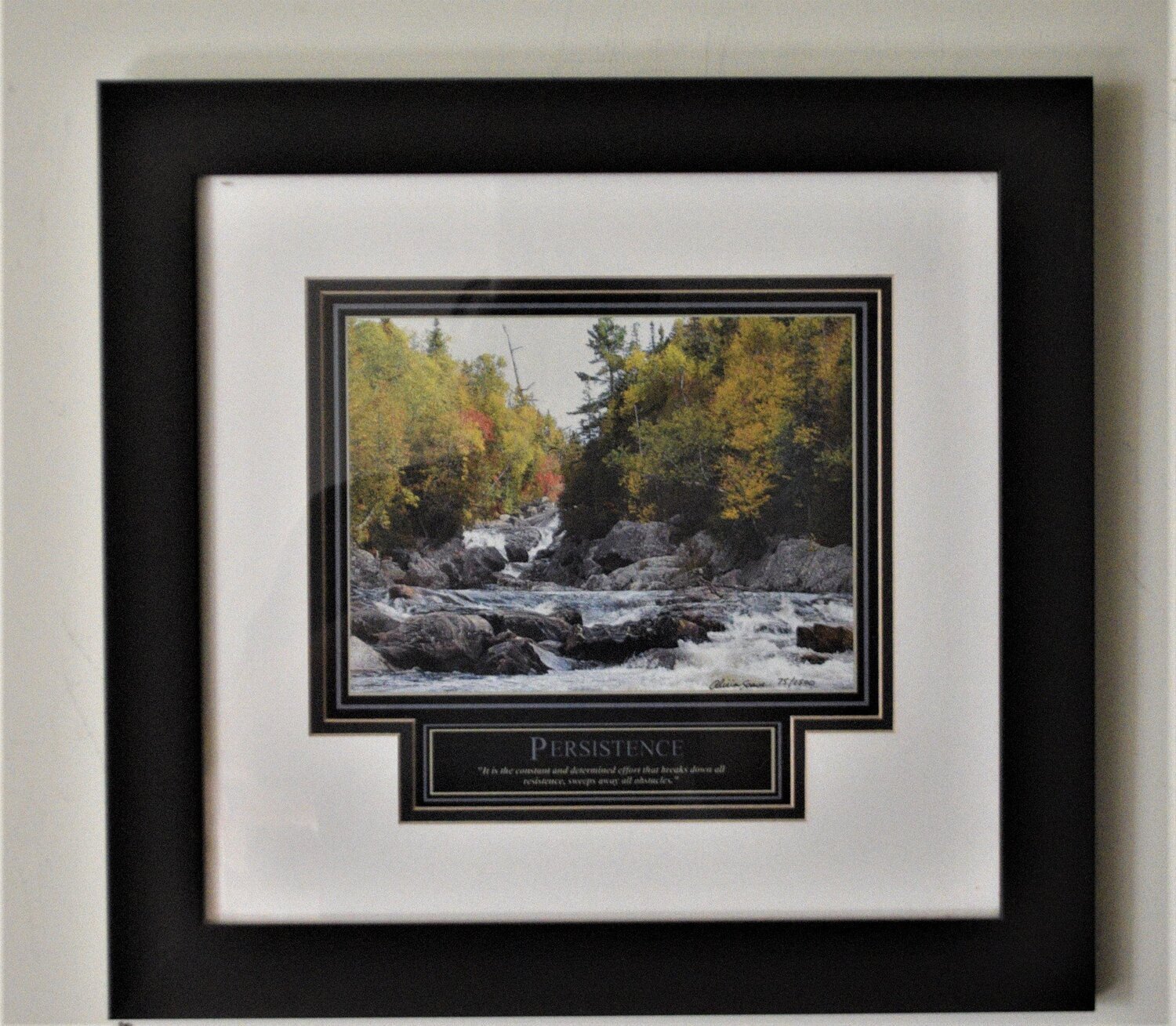 Limited Edition  by Canadian Alicia Soave. Signed and numbered, 75 of 1500. Persistence.