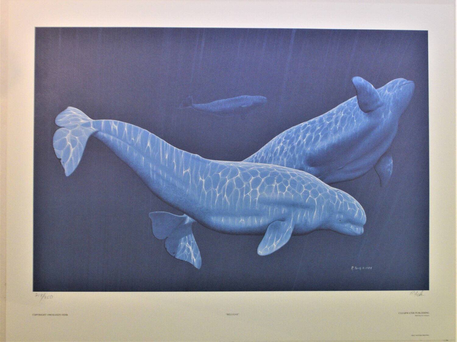 Limited Edition  of 350 Print Never Framed or Matted. &quot;Belugas&quot; by Randy Fehr.