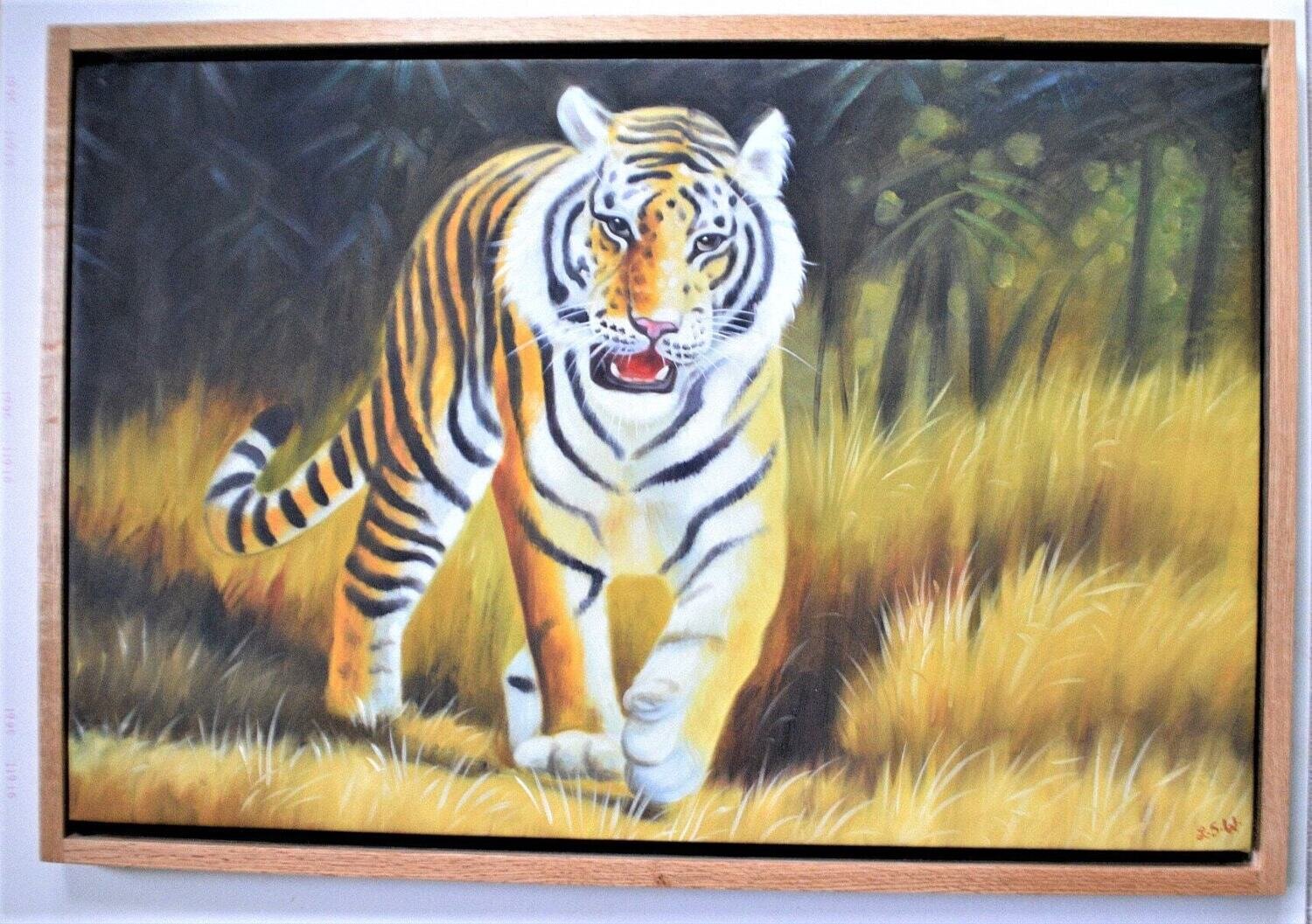 Large Oil on Canvas. Tiger.  Solid Oak Floating Frame. 25&quot; x 37&quot; Framed Size. Signed .