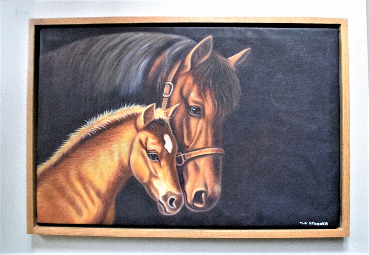 Large Oil on Canvas. Horses. Solid Oak Floating Frame. 37&quot; x 25&quot;. Signed .Cat Sanctuary Fundraiser.