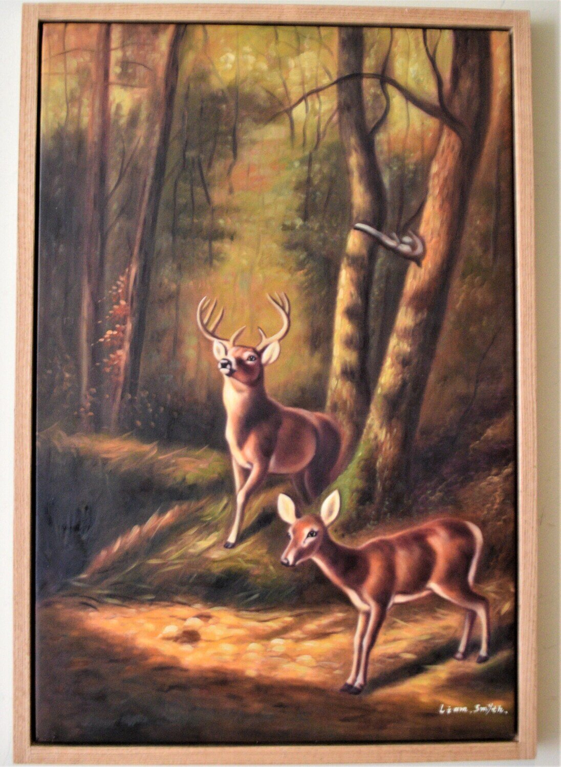 Large Oil on Canvas of Deer. Solid Oak Floating Frame. 38&quot; x 26&quot; framed . Signed .