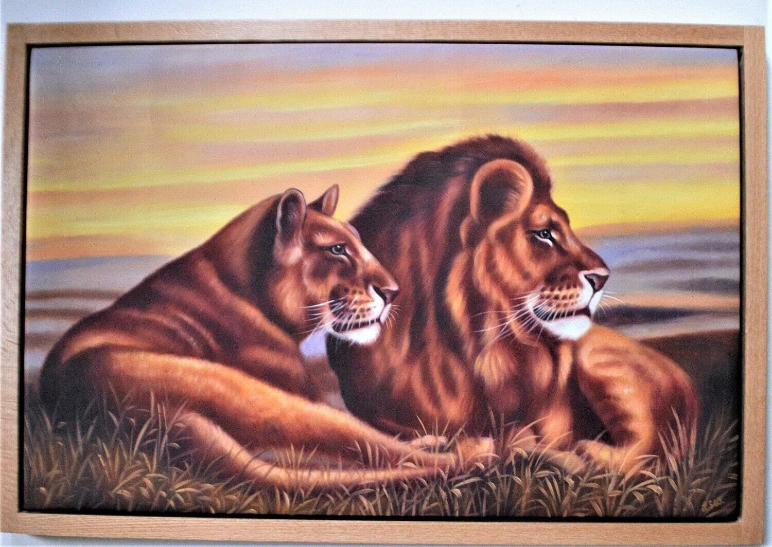 Large Oil on Canvas. Lions.  Solid Oak Floating Frame. 25&quot; x 37&quot; Framed Size. Signed .