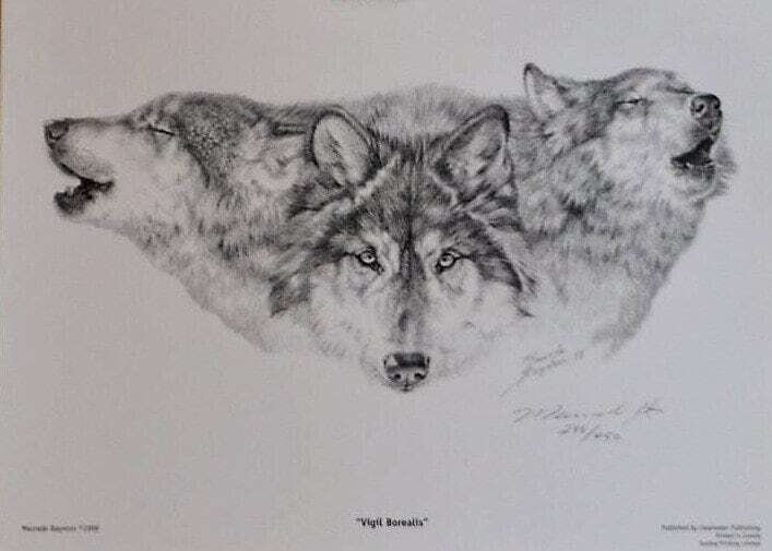 Limited Edition Print Never Framed or Matted. Maurade Baynton . #286 of 450 . “Vigil Borealis”