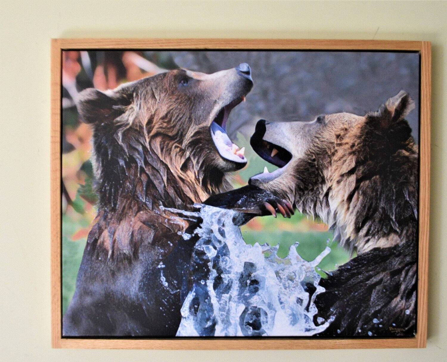 Bears Fighting . L.E of Two Giclée on Canvas! Solid Oak Frame, Hand Made, Polished. 26x32&quot; Framed .