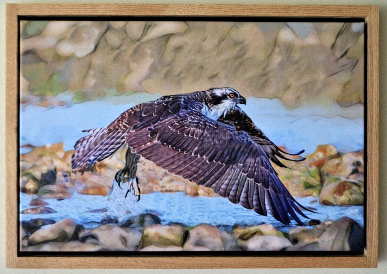Osprey.  L.E. of  only 2  Giclée on Canvas! Solid Oak Frame, Hand Made, Polished. 18&quot; x 26&quot;