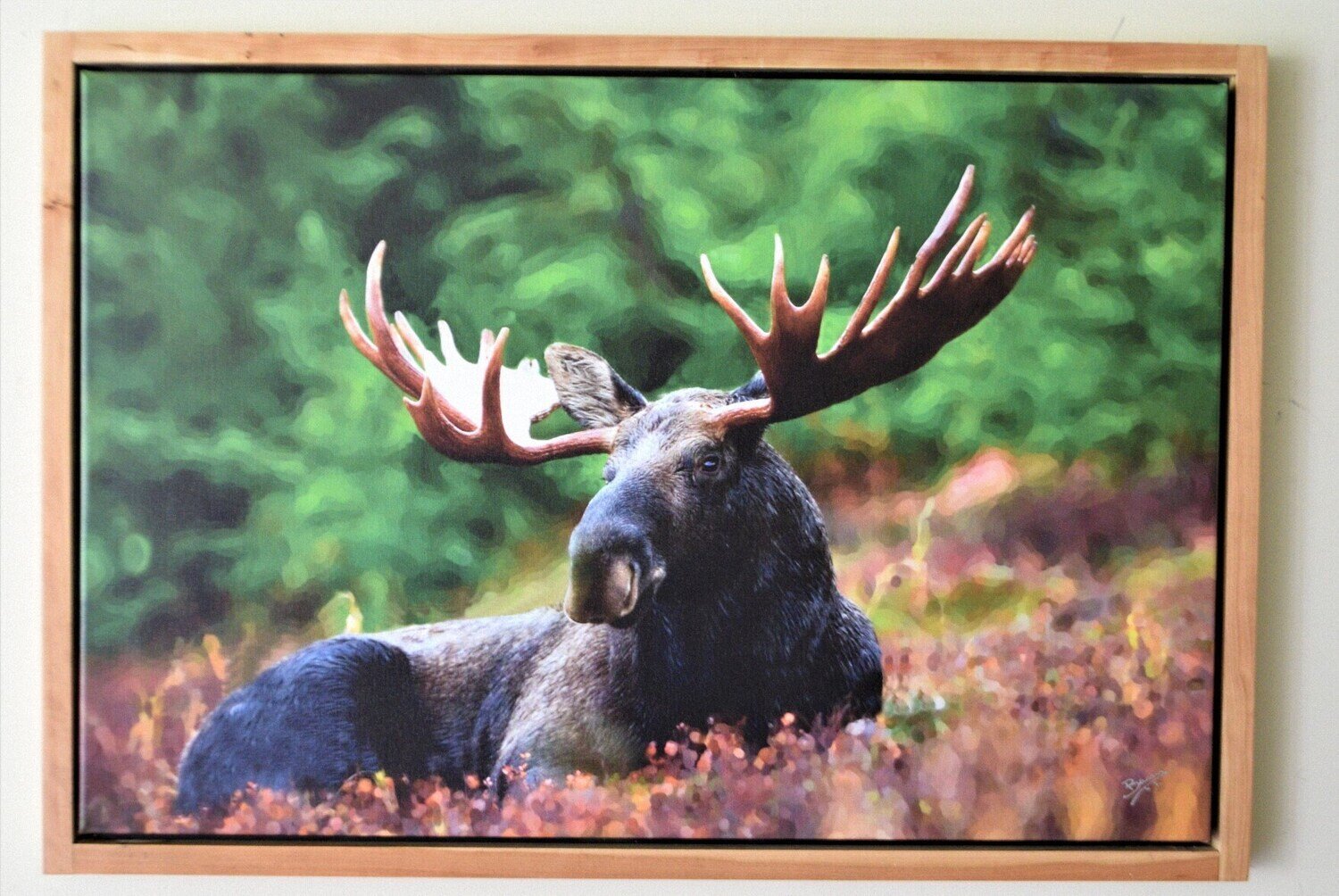 Moose. L.E of Two Giclée on Canvas! Solid Cherry Frame, Hand Made,  22&quot; x 32&quot; Framed . SEE NOTE.