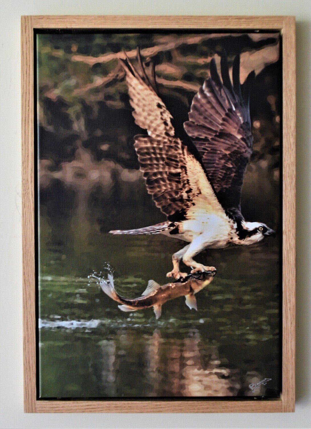 Osprey. Limited Edition of only Two Giclée on Canvas! Solid Oak Frame, Hand Made ,Polished. 18x26&quot;