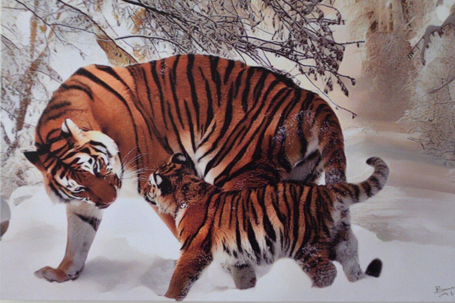 Tigers!  L.E. of 2 only Giclée on Canvas, Gallery Wrapped 20&quot; x 30&quot; Canvas Size. SEE NOTE.