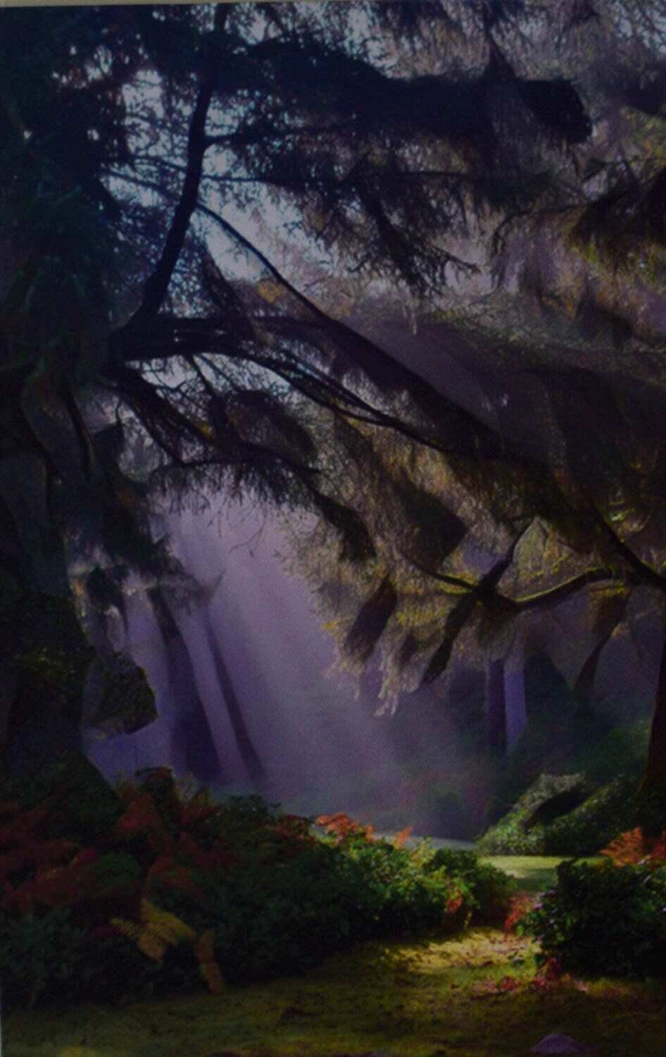 Forest Glen. One of a Kind Giclée on Canvas, Gallery Wrapped, 16&quot; x 24&quot; canvas, 1.5&quot; deep. SEE NOTE.