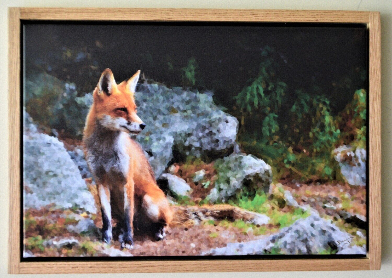 Fox . One of Only TWO Giclée on Canvas Worldwide!  Solid Oak Frame, Hand Made .18x 26&quot; Framed Size.