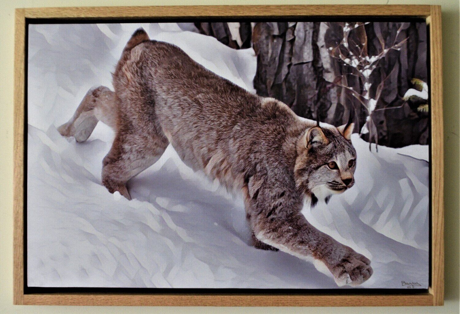 Lynx. My L.E. of 5 Giclée on Canvas! Solid Oak Frame, Hand Made, 22&quot;x 32&quot; Framed Size. SEE NOTE.