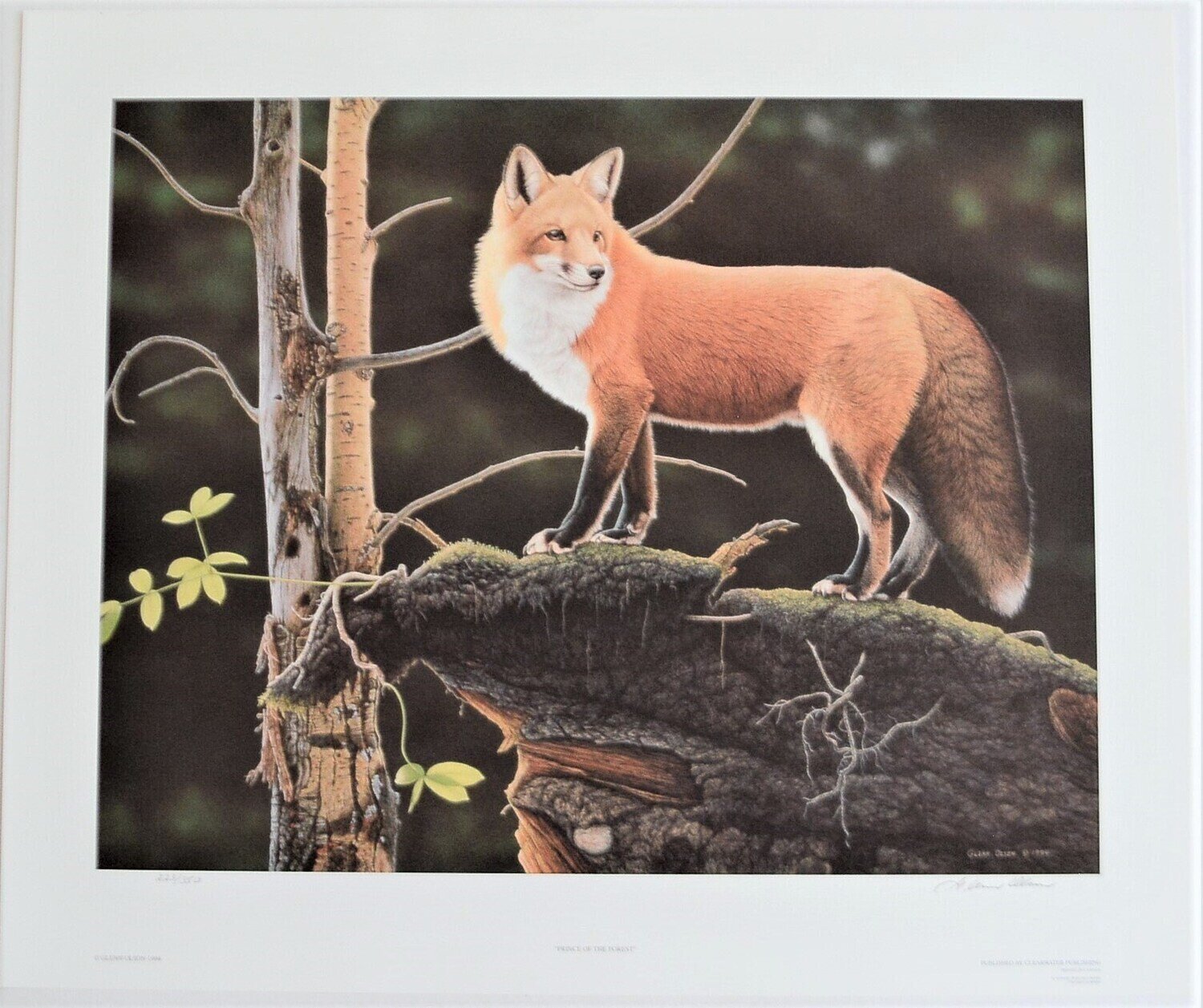Vintage, Out of Print Limited Edition , 223 of 350 Printed 1994. Signed Glenn Olson.  25&quot; x 21&quot;.