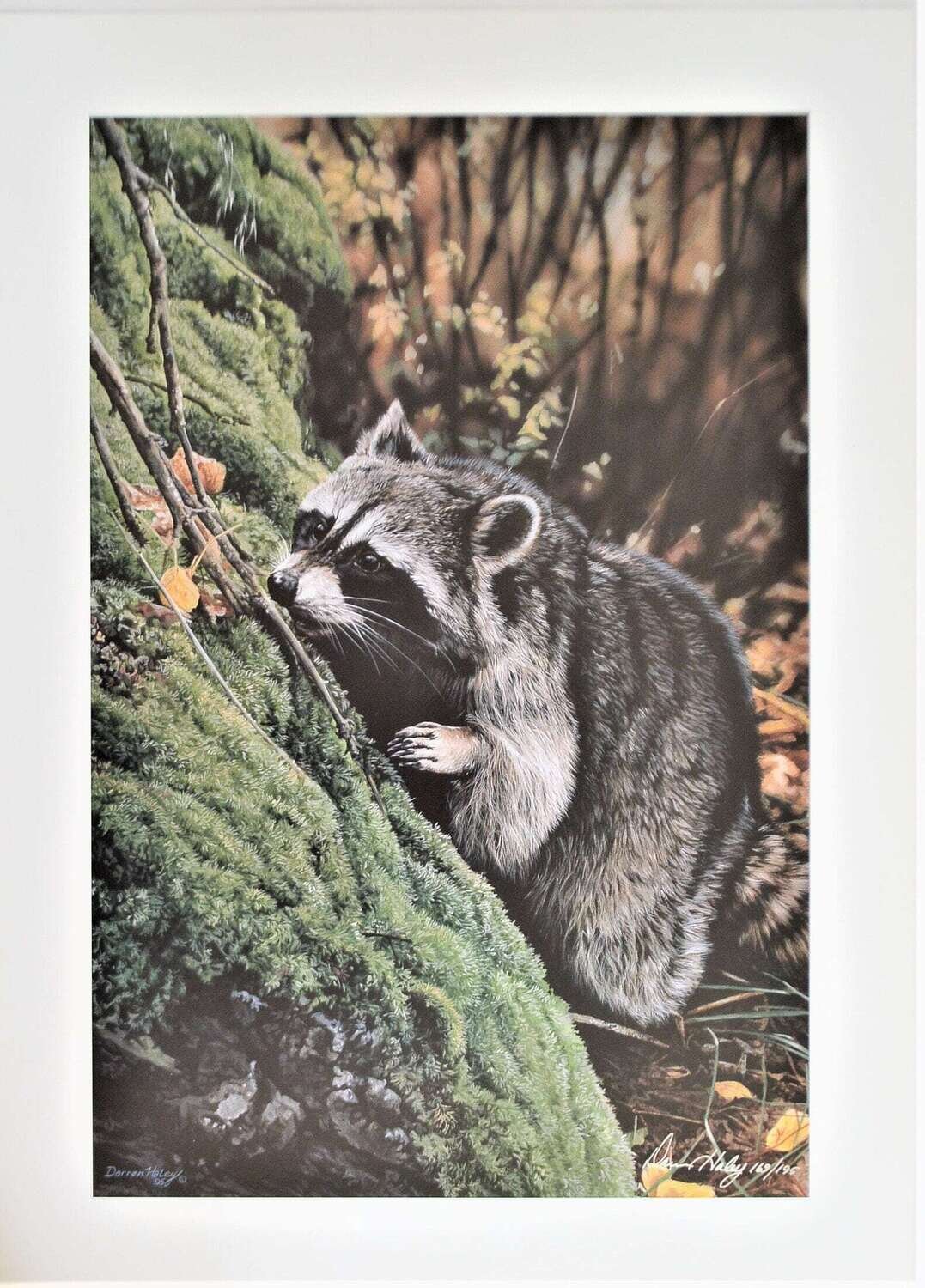 1995. 169/195. Out of Print Limited Edition.  Signed Darren Haley. 24.75&quot; x 17.75&quot; &quot;Fall Scents.&quot;