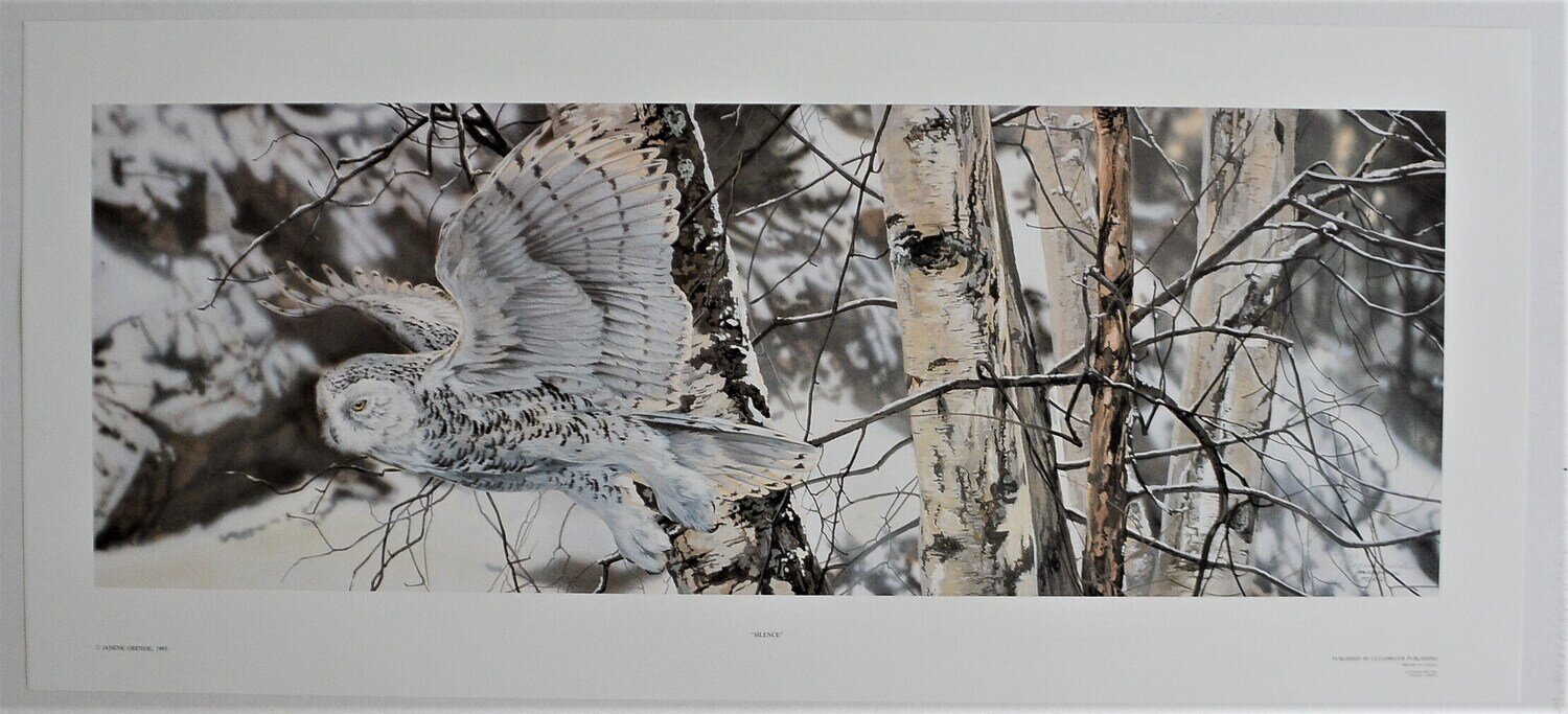 1993 Out of Print Limited Edition Never Framed or Matted , 304 /350 . Signed. 35.5&quot; x 16&quot; &quot;Silence&quot;