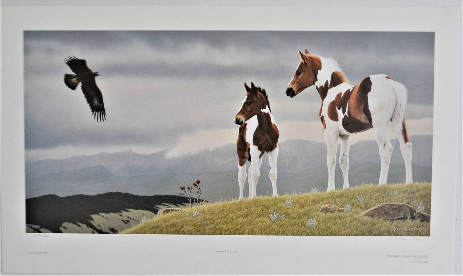 1997 Limited Edition , 296 of 350  Signed Glenn Olson. 28&quot; x 16.5&quot; &quot;Wings of Wonder&quot;.