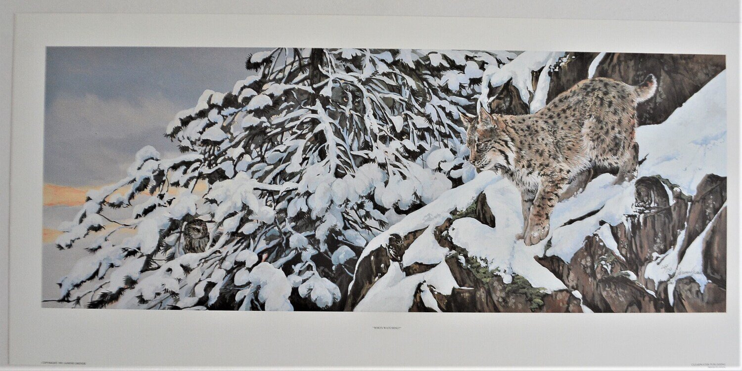Janene Grende &quot;Who&#39;s Watching.&quot; 260 /750 Printed 1991 . Signed. 34&quot; x 16&quot; . Never Framed or Matted