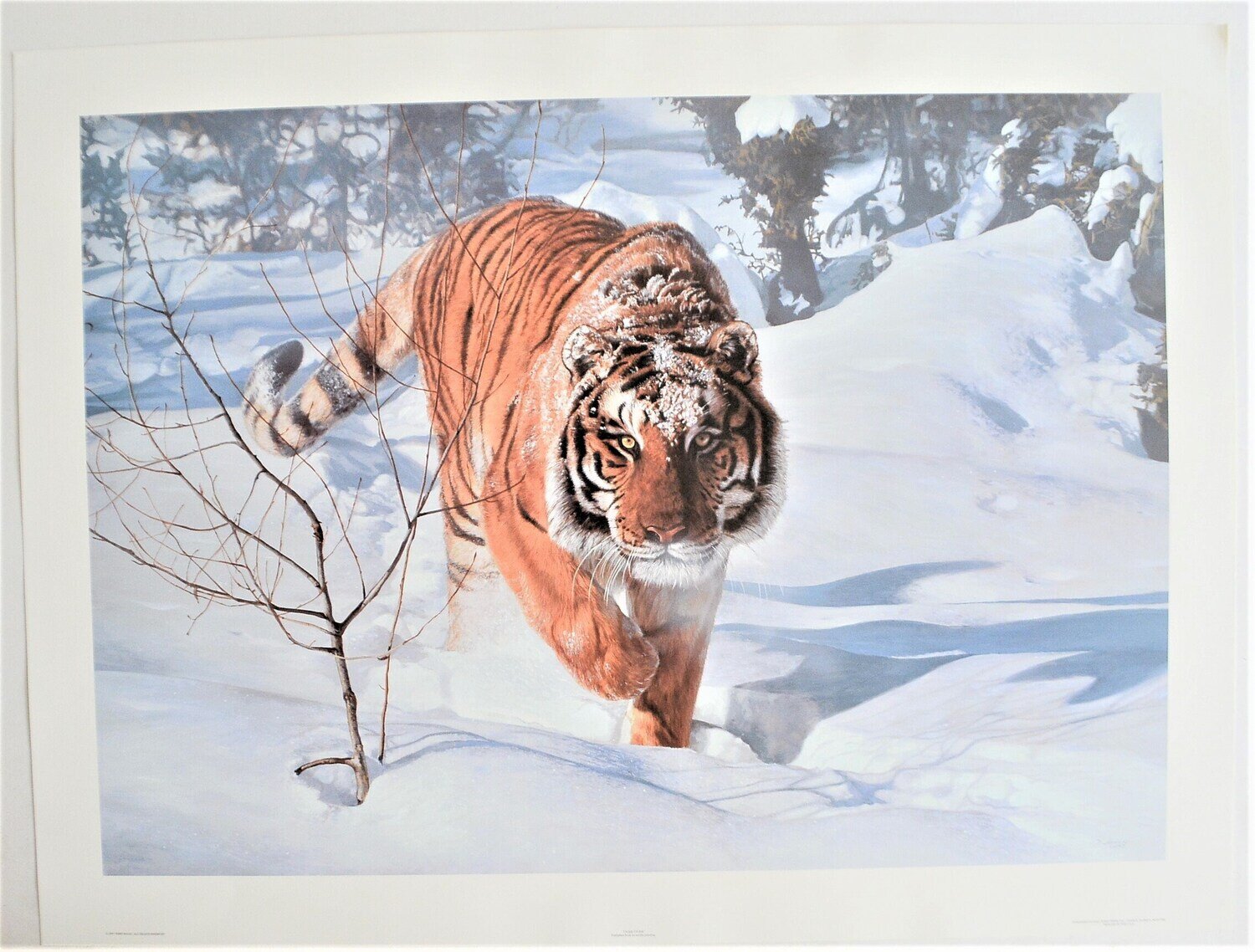 Tyger! Tyger! Vintage, Limited Edition , 312 /950 Printed 1997. Terry Isaac. Large  35.25&quot; x 26.5&quot;
